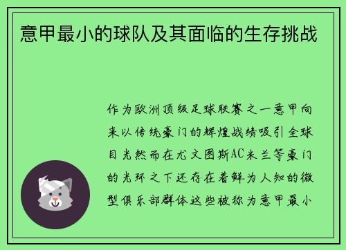 意甲最小的球队及其面临的生存挑战